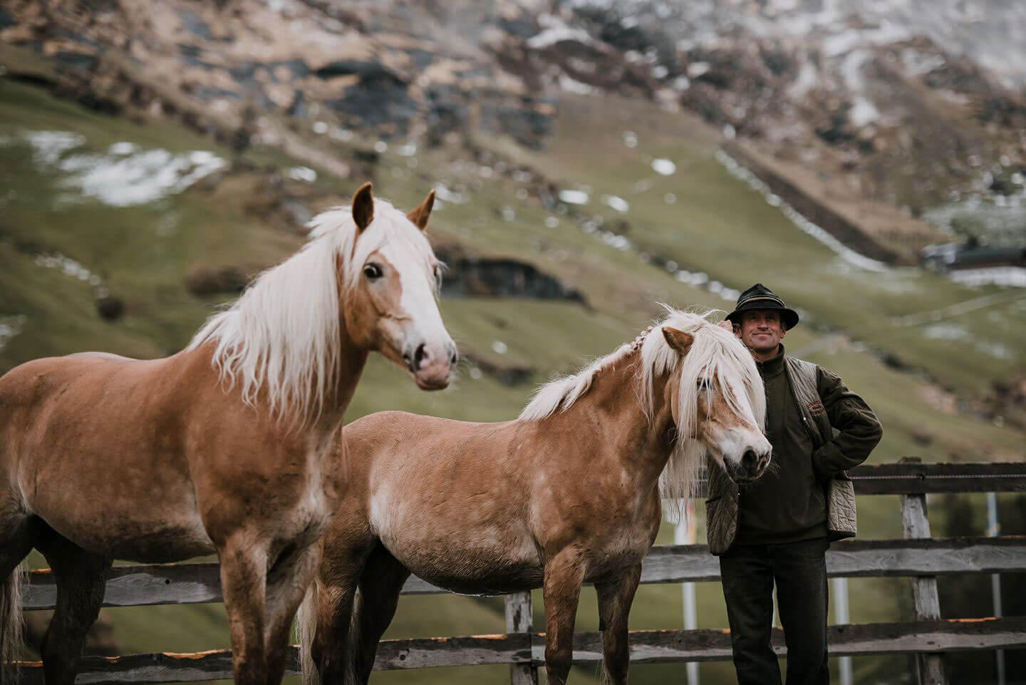 Reitstall - Steinerhof