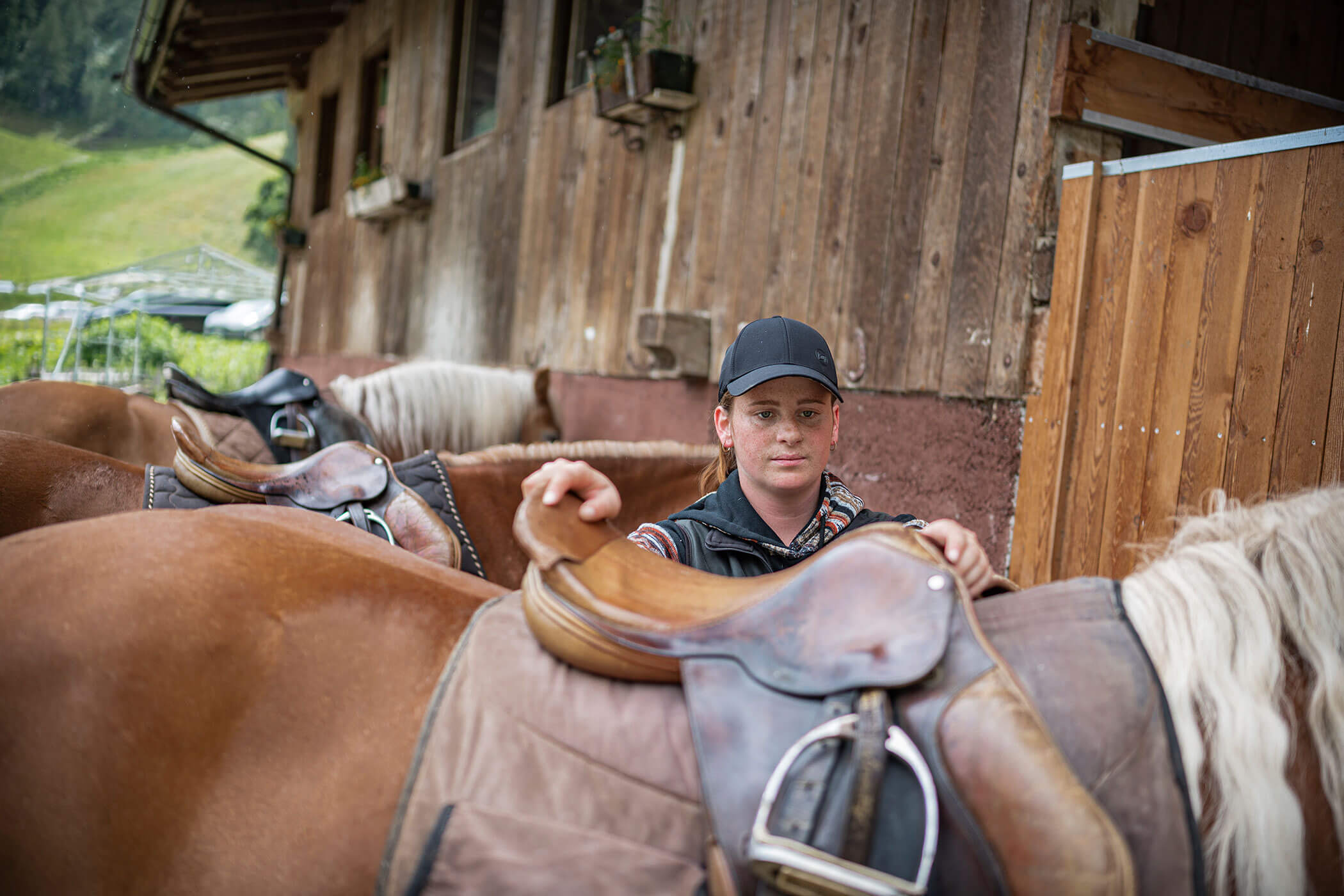 Cavalli - Steinerhof