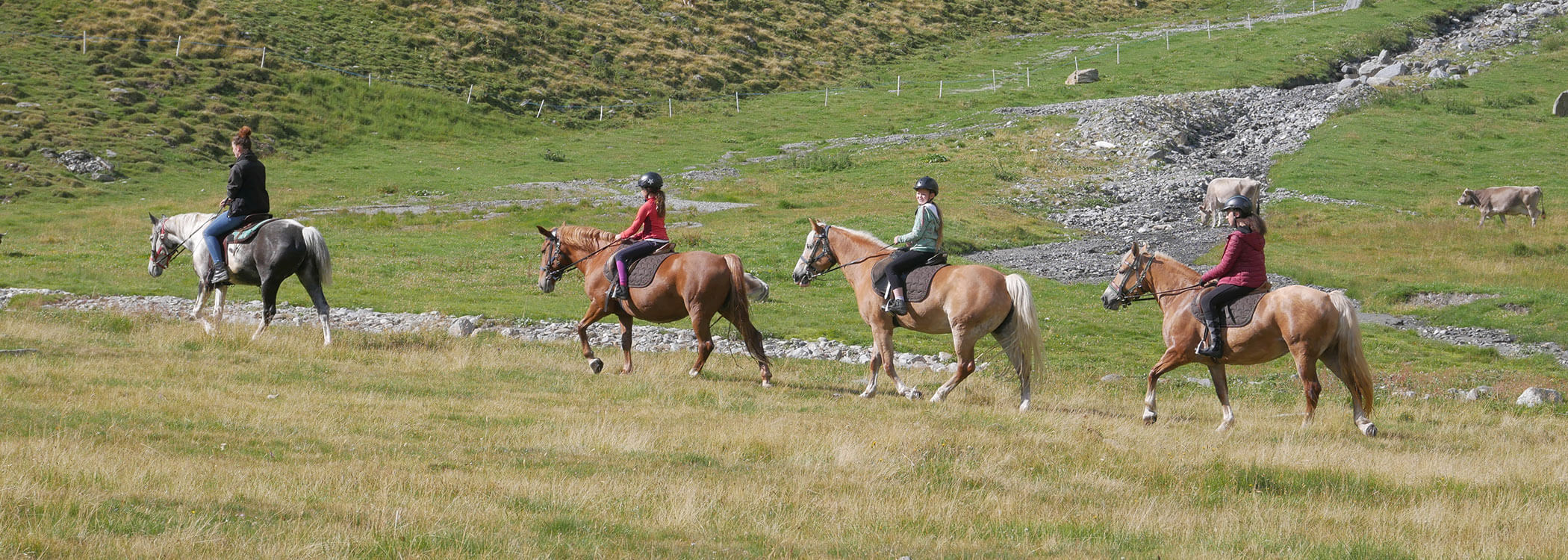 Maneggio - Steinerhof Pfelders