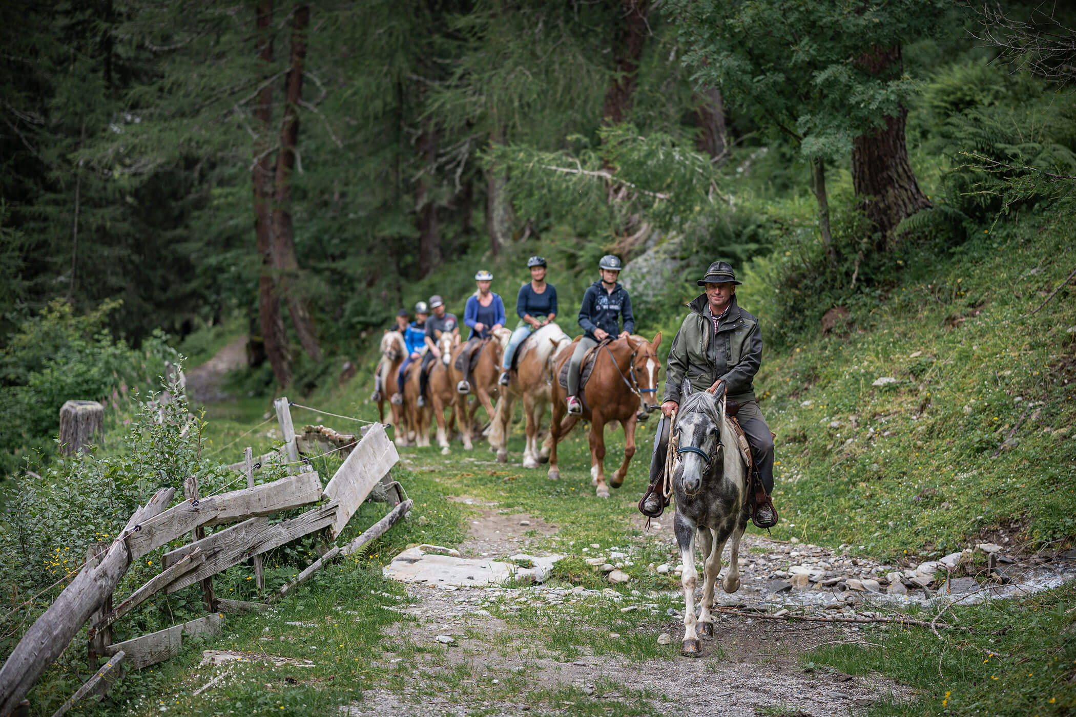 Passeggiate a cavallo - Steinerhof