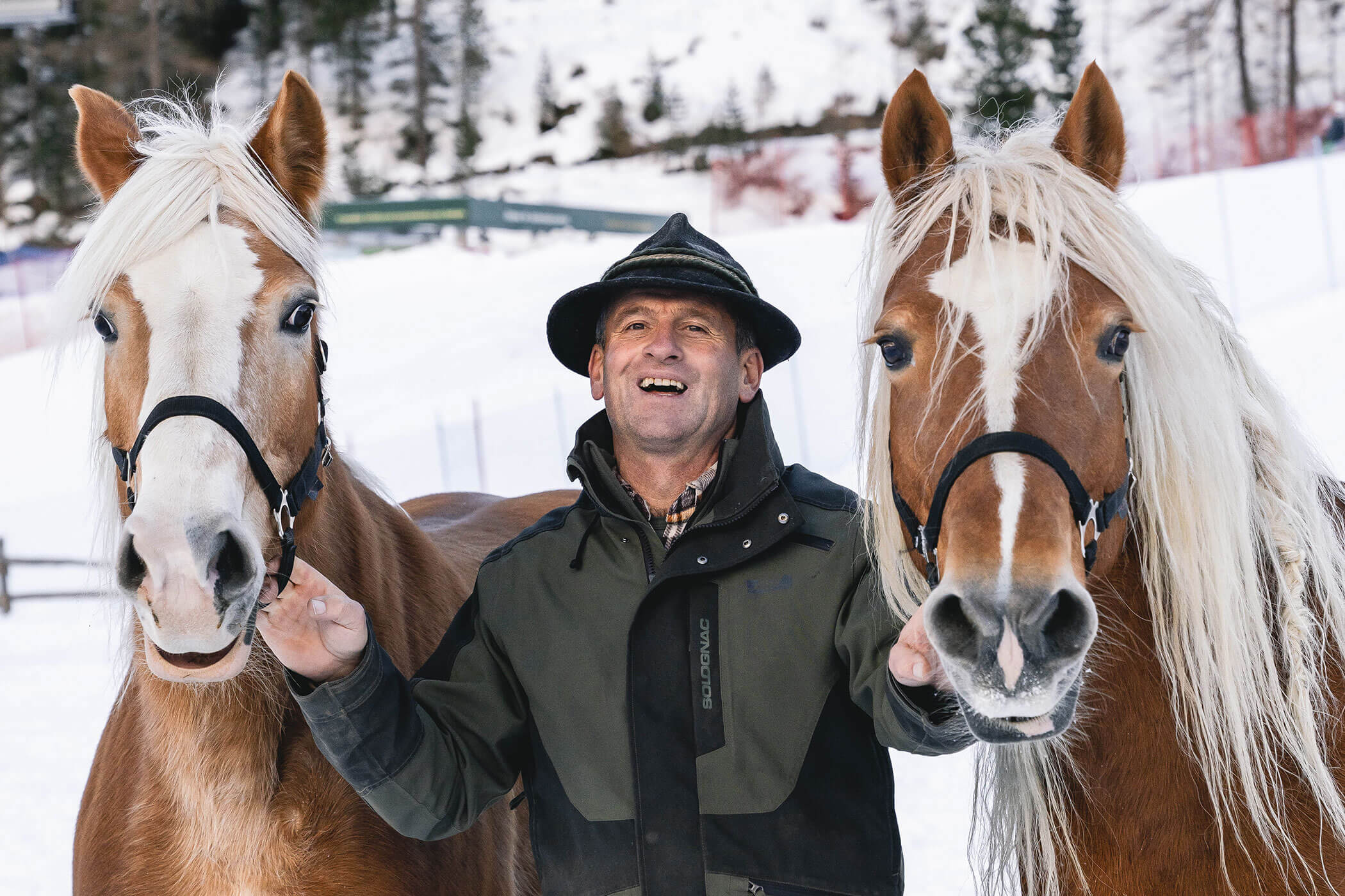 Cavalli - Steinerhof